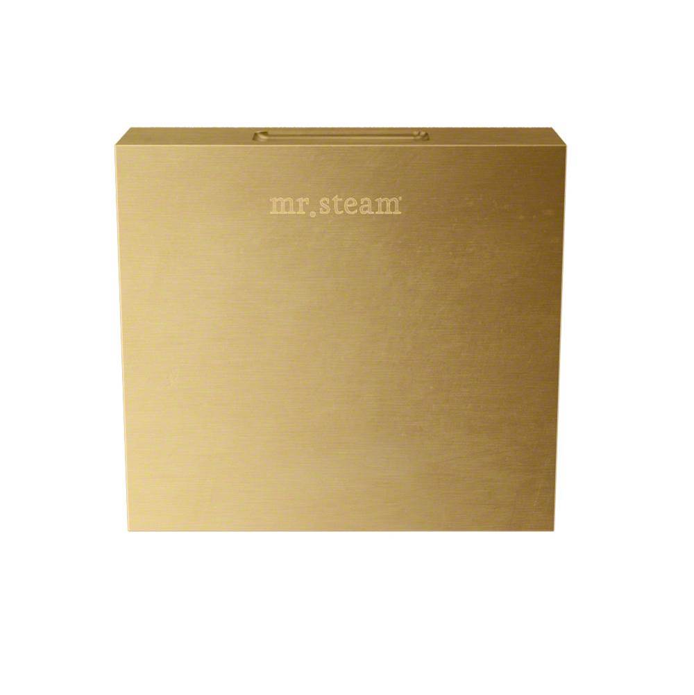 Mr. Steam Aroma Designer 3 in. W. Steamhead with AromaTherapy Reservoir in Square Satin Brass